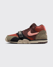 Nike SB Arts-Rec Air Trainer 1 Shoe
