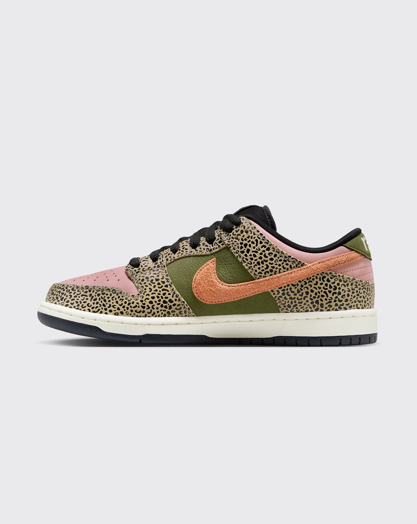Nike SB Arts-Rec QS Dunk Low Pro Shoe